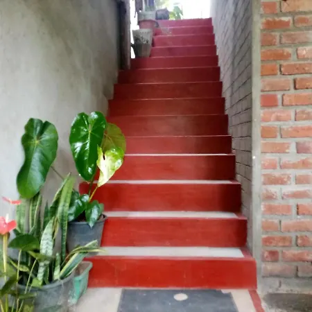 Nimsara Homestay Ella Exterior photo
