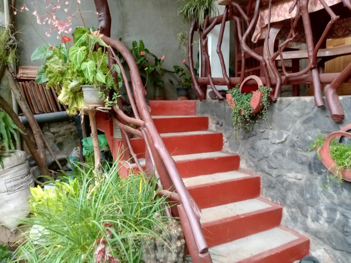 Nimsara Homestay *